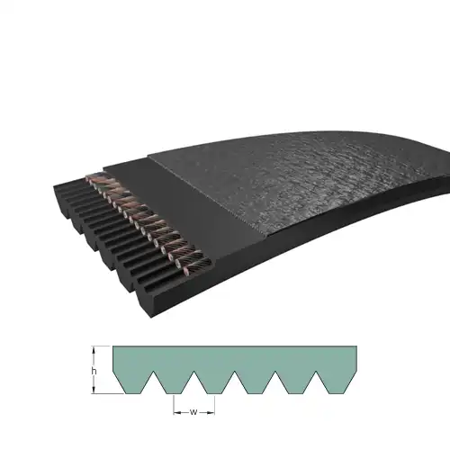 Ribbed belts