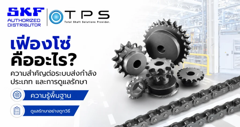 เฟืองโซ่ คืออะไร? ความสำคัญต่อระบบส่งกำลัง ประเภท และการดูแลรักษา